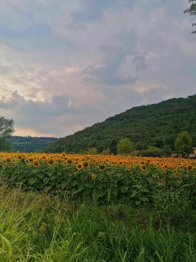 Ca' dei Berici Apartments Grancare Esterno foto